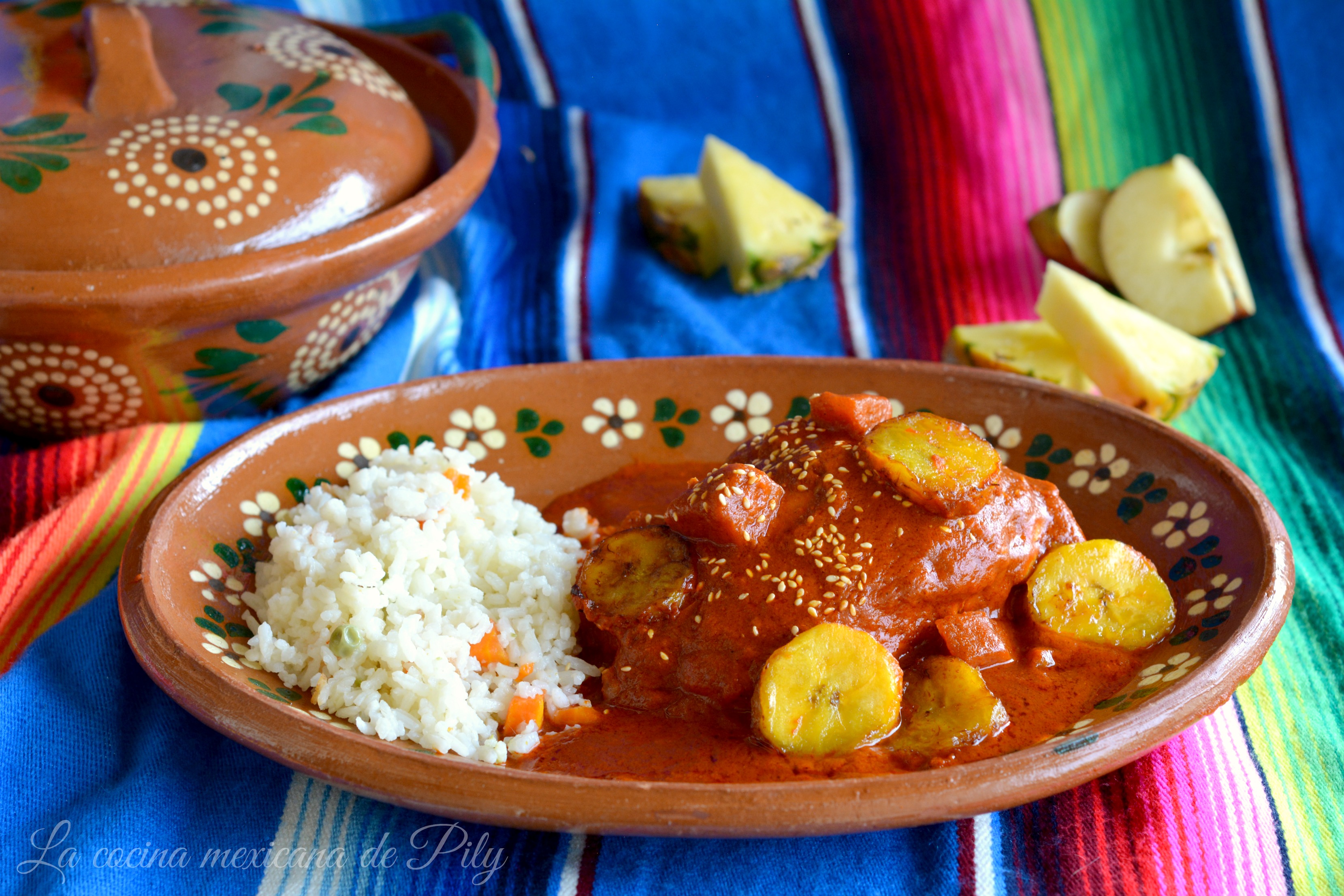 Manchamanteles | La Cocina Mexicana de Pily